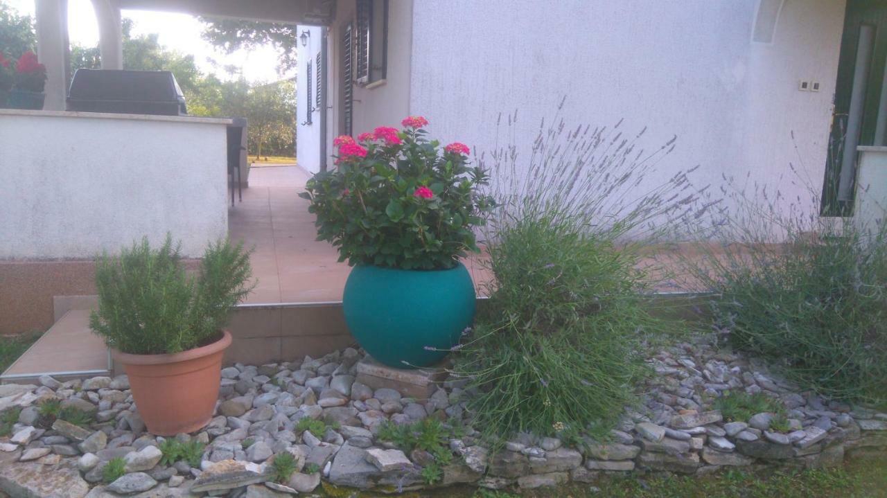 Apartmani Bauk Пореч Экстерьер фото